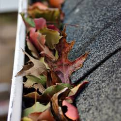 Clogged gutters filled with fall leaves  in Baldwin