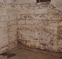 Peeling, Chipping, Basement Wall Coatings in [city]