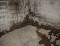 flooded basement with leaky basement walls in [city], LI